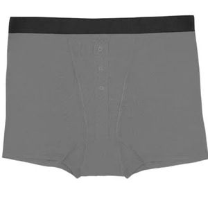 Thinx Cotton Boyshort Slate
